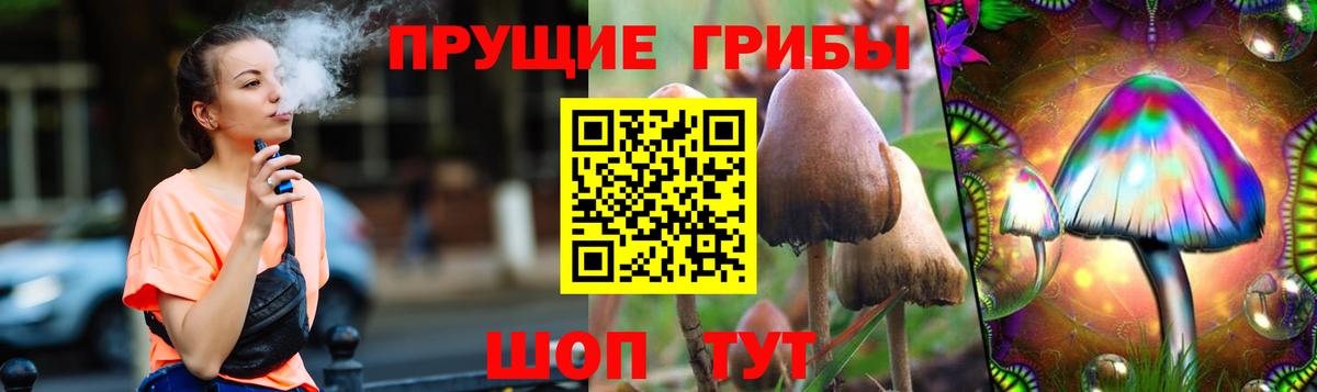 Псилоцибиновые грибы ЛСД  Псилоцибиновые грибы ЛСД  Вход с VPN  где можно купить   Уварово 